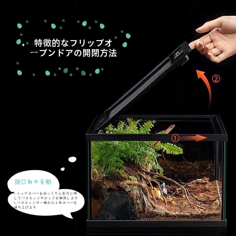 Amazon | 爬虫類 ケージ カゲ 飼育セット 通気性 の給餌ボックス
